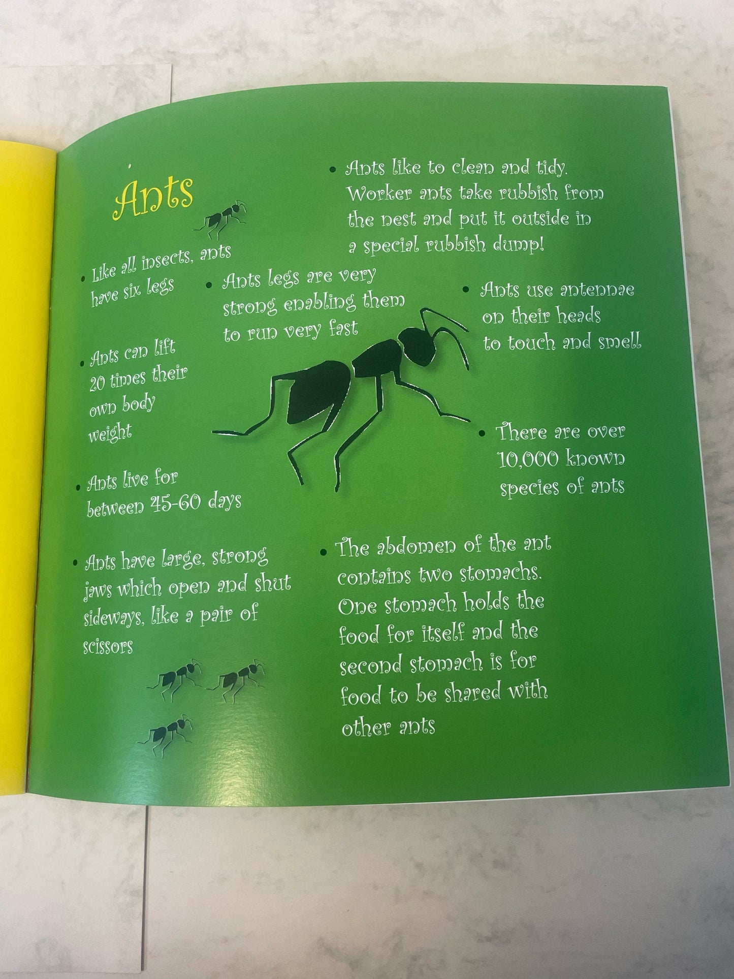 The Legend of Sidney Sneed - Children's Book by Rob Hann (Author) and Howard Barton (Illustrator) - Paperback